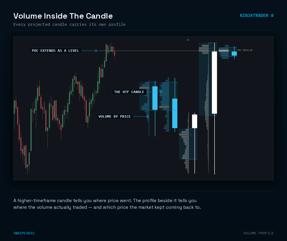 HTF Profile - Image 5